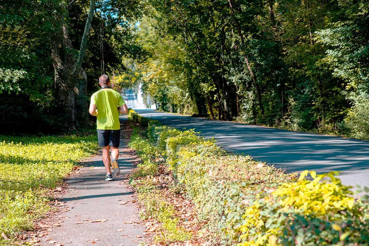 COMAPMath's tweet image. 🚴♀️ Can exercise help suppress tumor growth?
A fascinating new mathematical model reveals how physical activity might influence the relationship between our immune system and cancer.
👉 Read more on Physics World: buff.ly/3VNtmVh
#Math #MathModel