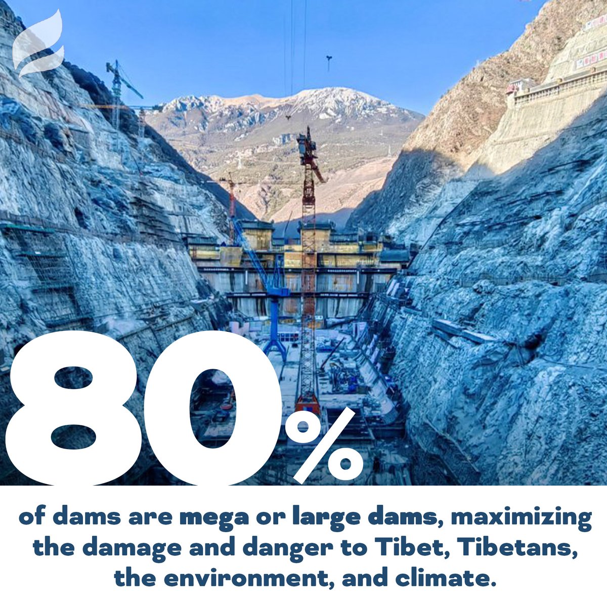 International Campaign for Tibet tweet media
