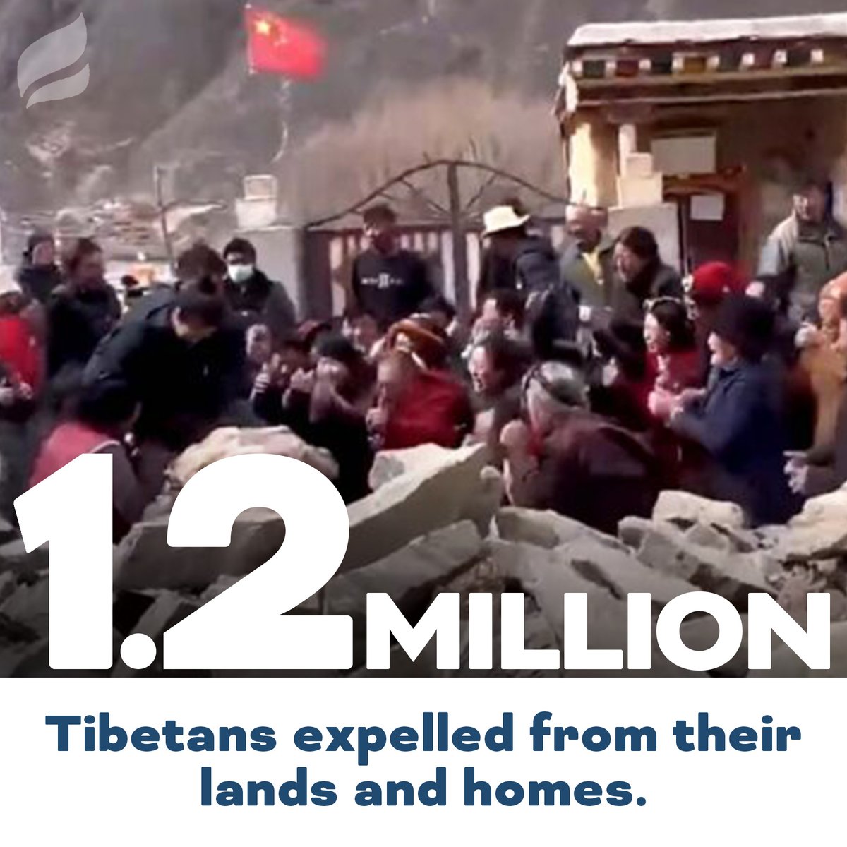 International Campaign for Tibet tweet media