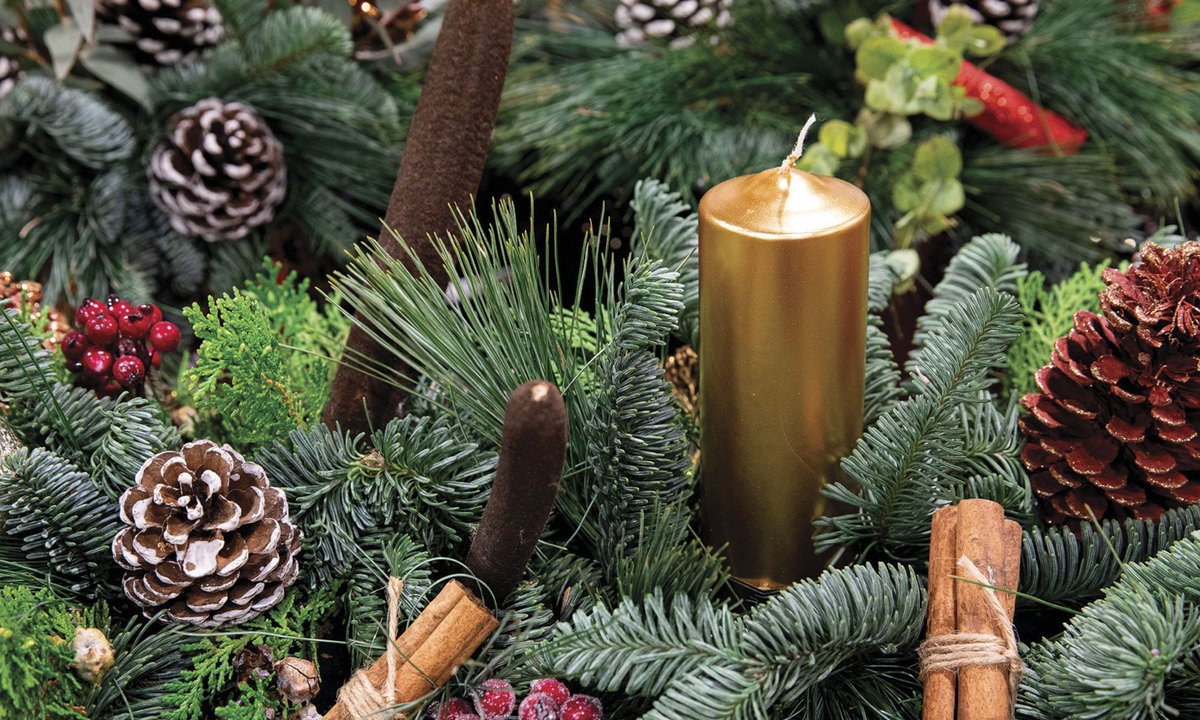 🎄It's the LAST DAY of our Gifts and Greens Sale!🎄

Visit Phipps Garden Center to find amazing gifts and holiday décor this season. From fresh greens to poinsettias and garlands, find your perfect festive foliage during this seasonal market!

More: phipps.conservatory.org/calendar/detai…