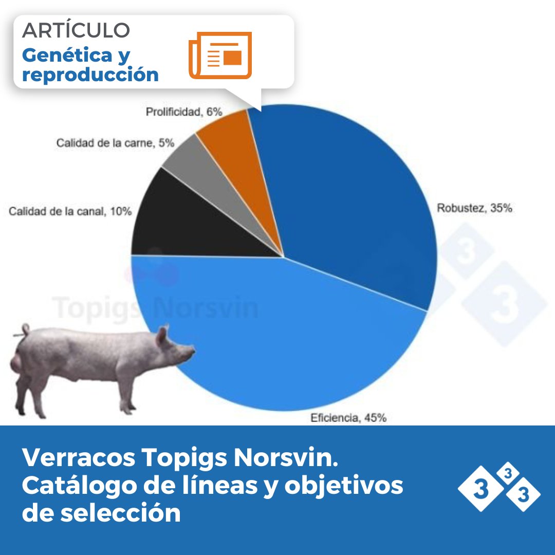 3tres3.com tweet media