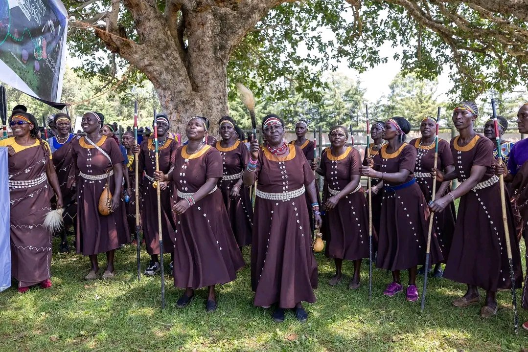 HMbatiany's tweet photo. I advocated for preserving our culture; our language and oral traditions , and urged action toward affirmative development and land protection. The festival was not just a celebration but a moment to reconnect with our roots and shape a stronger future for our people. 2/2
#sabaot https://t.co/OM9mfokvGl