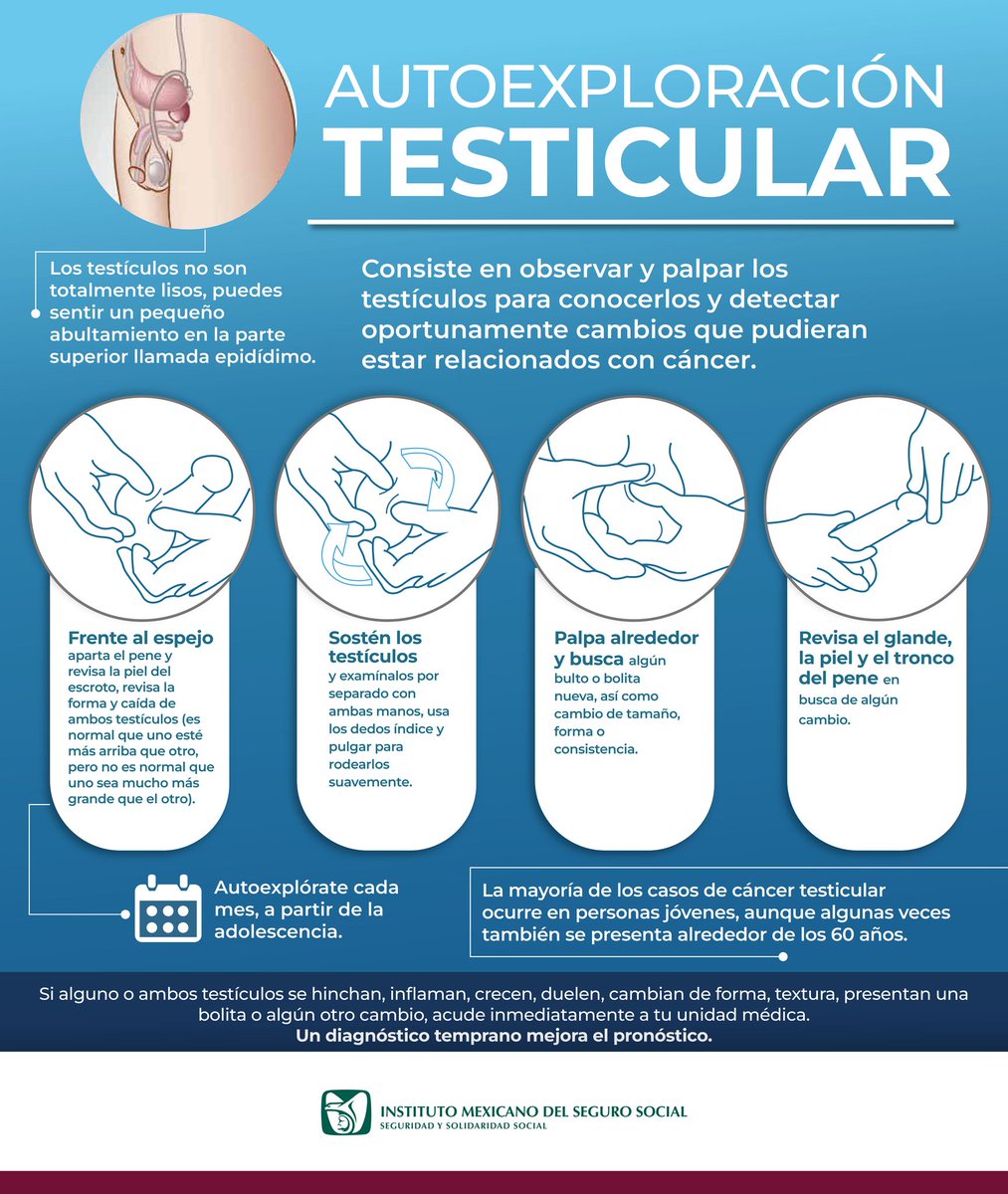 👀 Conoce la técnica adecuada de #autoexploración testicular.

🔎 Hazlo una vez al mes, a partir de la adolescencia ya que la mayoría de los casos de #cáncer testicular ocurre en personas jóvenes.