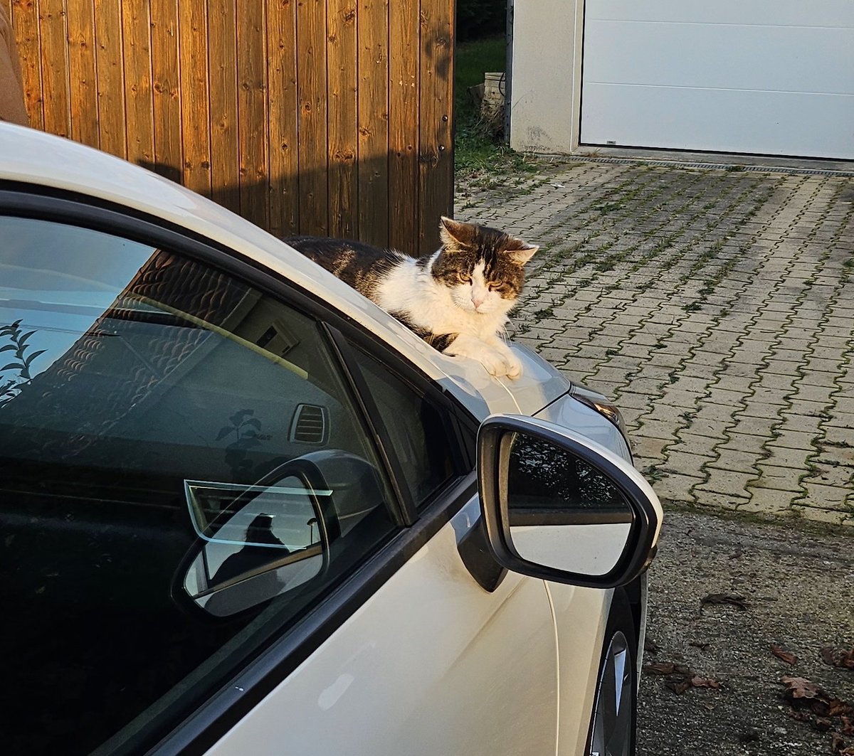 andyttam's tweet image. pareil mais en clio du coup