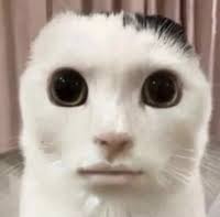 irochigai30's tweet photo. 美容室でシャンプーされてるときに、「痒いところ無いですか？」って聞かれたから、「股間がちょっと…」って答えたら「抜き…アリですね」って言われて、ピンセットでギャランドゥーぶち抜かれて今これ https://t.co/RiZsMbqxZY