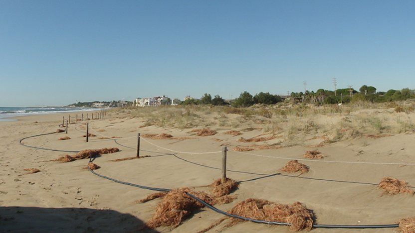 Oferta de treball 
TER550-24 - Titulat/ada superior, arxiver/a, A1-21
Direcció de Serveis del Departament de Territori, Habitatge i Transició Ecològica
Període de vigència: 04/12/2024 - 16/12/2024
👇
territori.gencat.cat/web/.content/h… 

<a href="/ESAGED_UAB/">Arxivística i Gestió de Documents UAB</a> <a href="/AAC_GD/">Associació Arxivers</a>