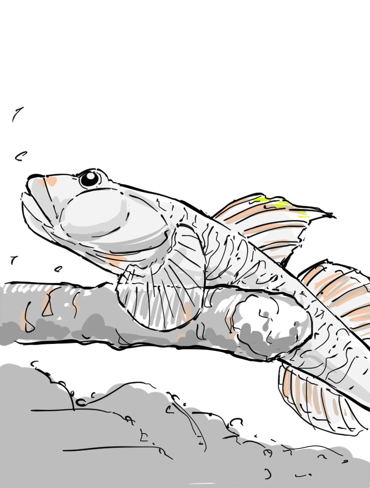 iketani212's tweet photo. 生き物絵師界隈の参入の機運はありますか？ https://t.co/gsT5nvJMqi