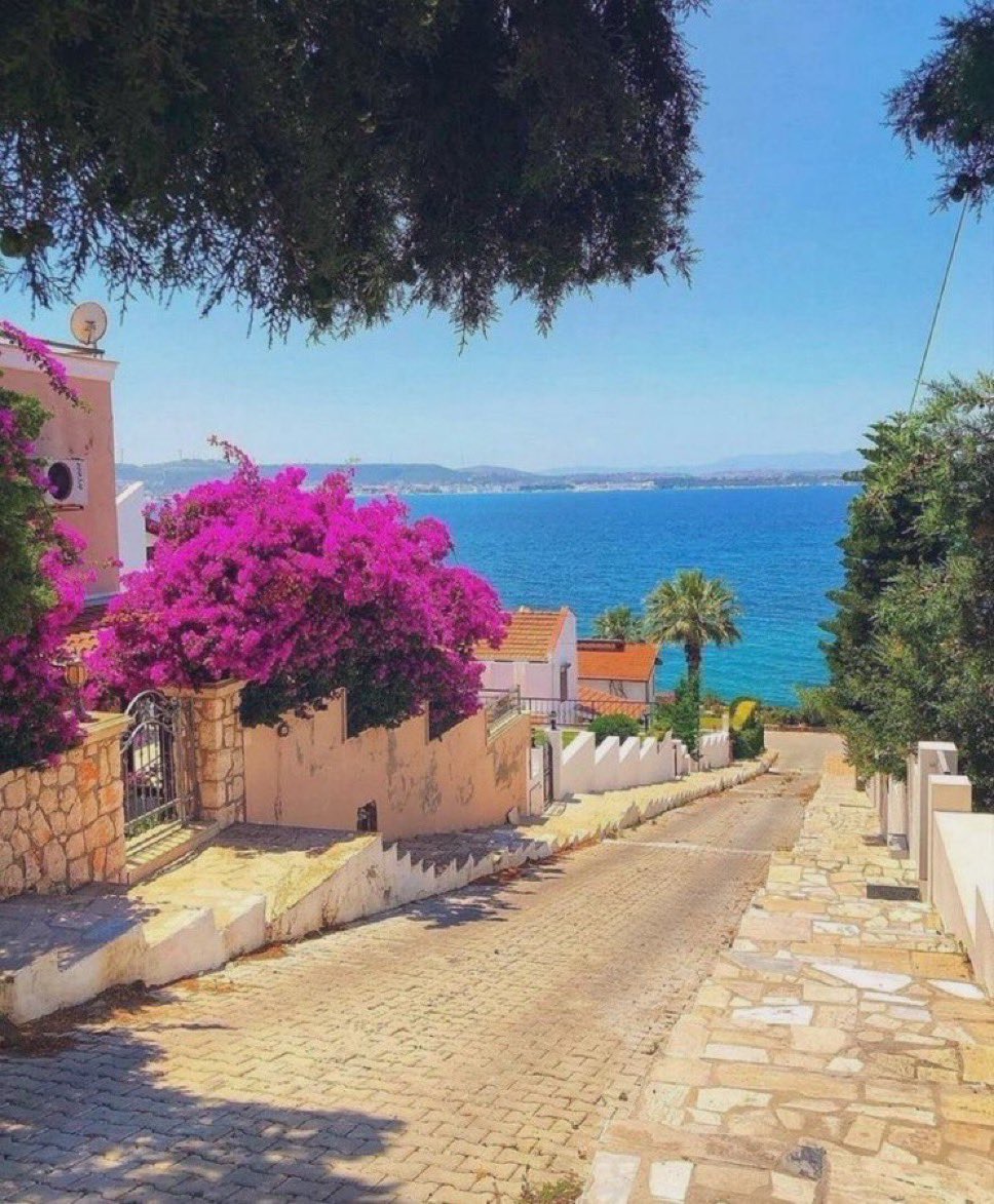 mediterraneanAE's tweet photo. https://t.co/MQE55CE6Pj