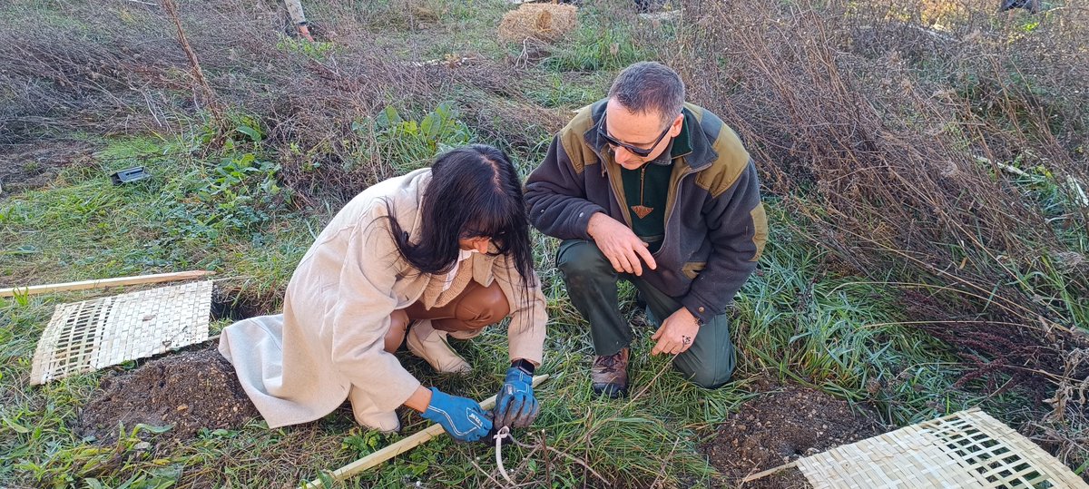ElsaRipert's tweet photo. @INSPE_BOURGOGNE @AcademieDijon La directrice a eu le privilège de planter « son » arbre : un pommier sauvage ! 🙏🏻 à tous nos étudiants et formateurs engagés, 🙏🏻aux collègues et aux élèves de l’école Chevreul, 🙏🏻au site INSPE de Dijon et plus particulièrement à Virginie Beaumont https://t.co/vjXtuwkcEV