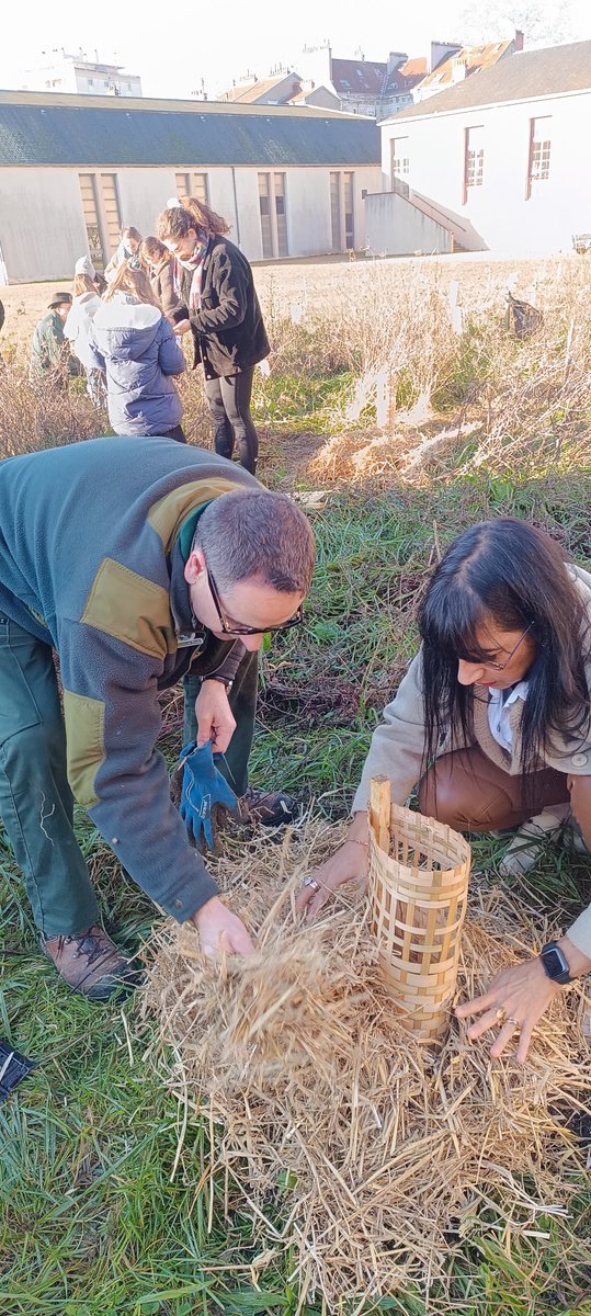 ElsaRipert's tweet photo. @INSPE_BOURGOGNE @AcademieDijon La directrice a eu le privilège de planter « son » arbre : un pommier sauvage ! 🙏🏻 à tous nos étudiants et formateurs engagés, 🙏🏻aux collègues et aux élèves de l’école Chevreul, 🙏🏻au site INSPE de Dijon et plus particulièrement à Virginie Beaumont https://t.co/vjXtuwkcEV