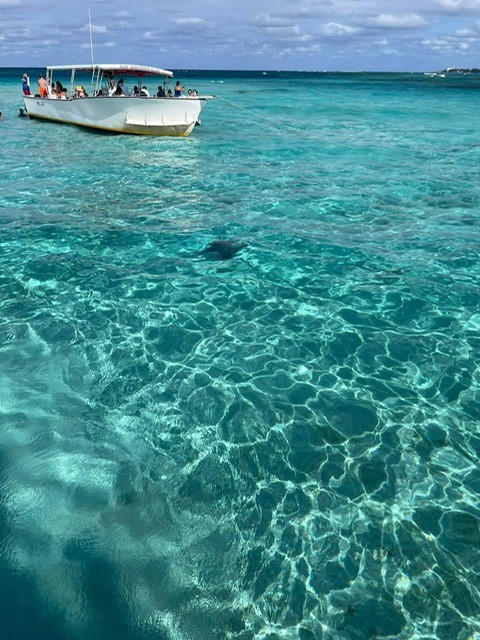 🌴✈️ Steffan Taylor from our litigation team recently visited the Cayman Islands to meet with the local legal professionals ahead of the upcoming Privy Council rules reforms. A great example of proactive collaboration as legal teams prepare for these important developments 👏