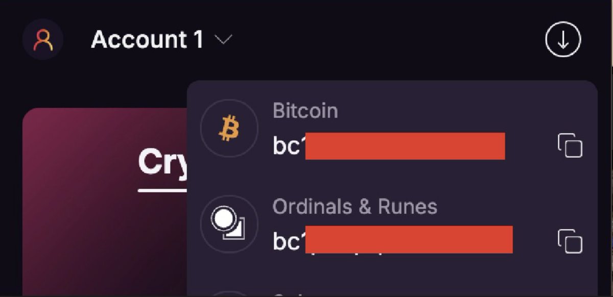 Luca Orbke tweet media