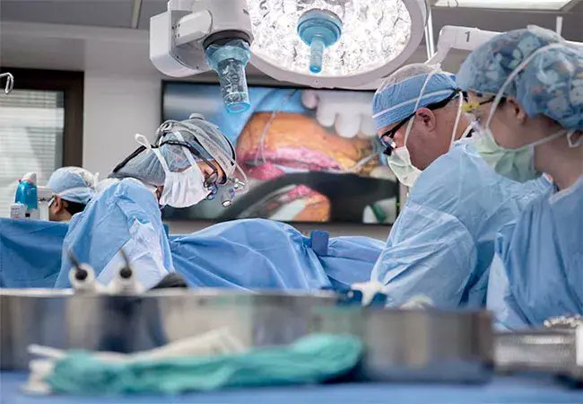 John Blaikley (@jblaikley) on Twitter photo We have a fully funded PhD opportunity investigating how biological clocks regulate cardiac surgical outcomes for #biology, #Maths, #Chemistry. Following our recent publications in JCI and Lancet Resp Medicine. Full details: findaphd.com/phds/project/b… <a href="/h_durrington/">Durrington Lab</a> <a href="/FBMH_UoM/">UoM Biology, Medicine and Health</a> We have a fully funded PhD opportunity investigating how biological clocks regulate cardiac surgical outcomes for #biology, #Maths, #Chemistry. Following our recent publications in JCI and Lancet Resp Medicine. Full details: findaphd.com/phds/project/b… <a href="/h_durrington/">Durrington Lab</a> <a href="/FBMH_UoM/">UoM Biology, Medicine and Health</a>
