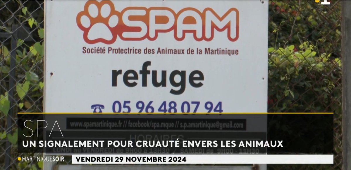 amdac972's tweet photo. Reportage : acte de cruauté à fourrière et SPAMartinique
https://t.co/1UEEAjxrnu

#protectionanimale #martinique https://t.co/QPn0ScwMWG