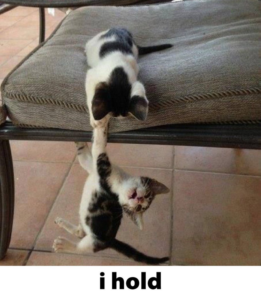 i also cto tweet media