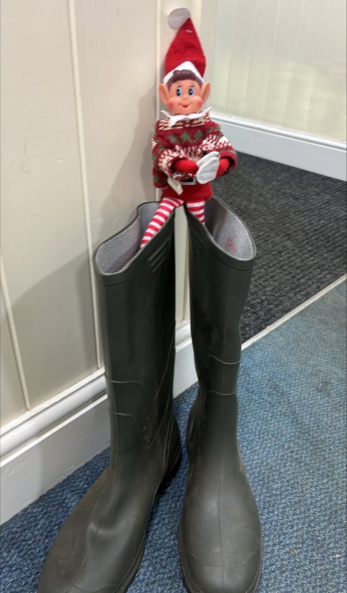 Ackworth School tweet media