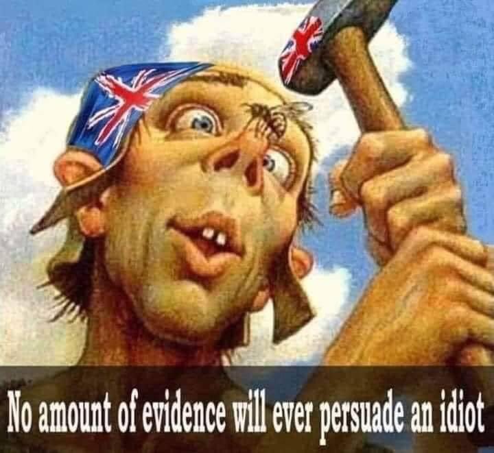 josephinewell19's tweet photo. @floboflo @Parody_PM #BigotAlert
Any thicker & you’d set.
Get in the bin. https://t.co/i1zAQGSasA
