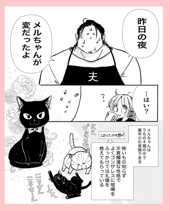 猫、呪文を唱える 