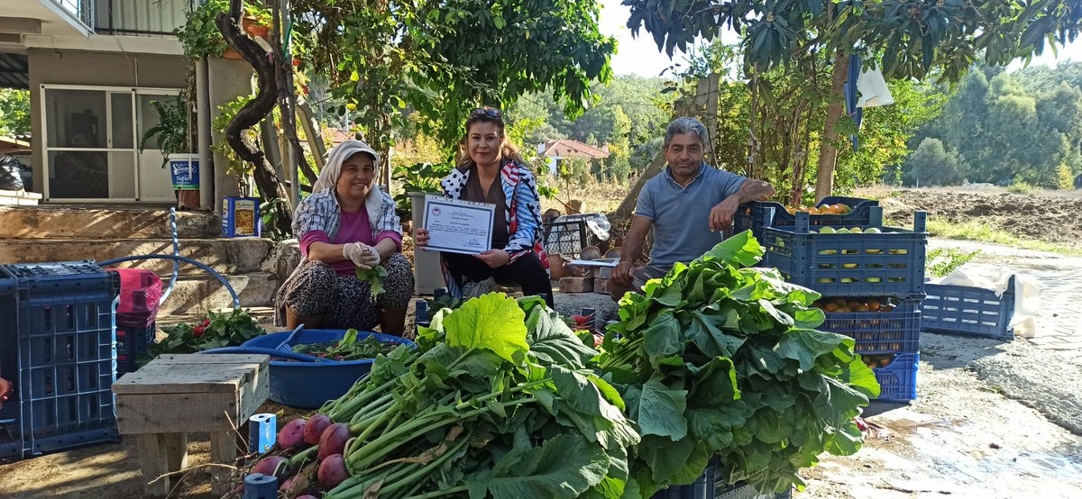 GidaveKontrolGM's tweet photo. 🌱 HASAT ÖNCESİ PESTİSİT DENETİMİNDE ÖRNEK ÜRETİCİLER! 👏
📍MUĞLA
2024 Hasat Öncesi Pestisit Denetim Programı kapsamında Marmaris’te alınan marul numunesinde hiçbir pestisite rastlanmadı! 💚
Güvenilir gıda üretimiyle örnek olan üreticilerimize Teşekkür Belgelerimizi gururla takdim ettik.
🌟 Temiz tarım, güvenilir gıda!Bu başarıya katkı sağlayan tüm üreticilerimizi tebrik ediyoruz.
👉 Daha sağlıklı bir gelecek için, bilinçli üretim ve tüketimden vazgeçmeyelim!

#GıdaGüvenilirliği #SürdürülebilirTarım #Muğla #Pestisit #Marul
@TCTarim @ibrahimyumakli @AhmetGumen @ErsinDILBER_ @muglatarim