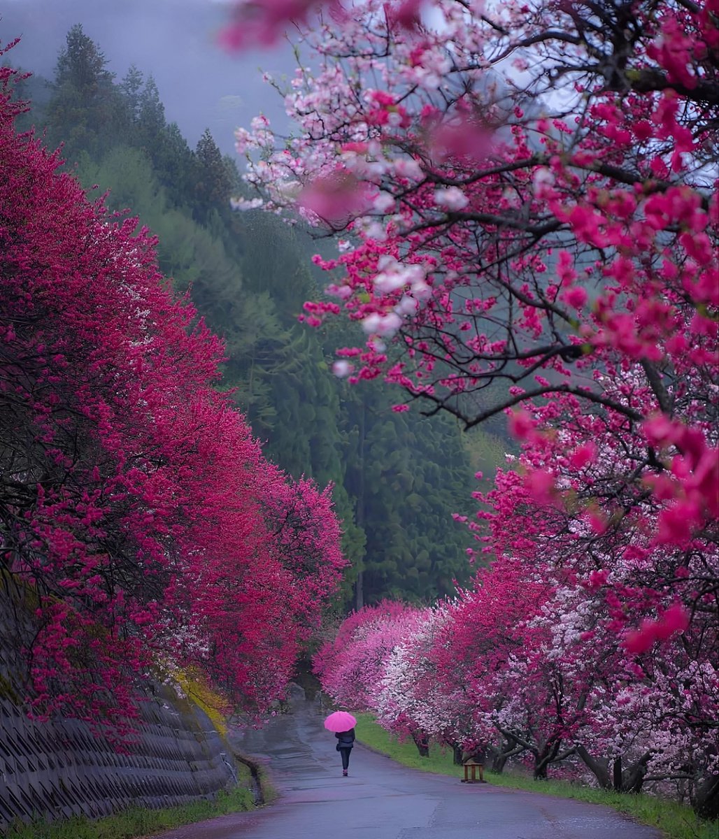 Mulla (@mulla9131) on Twitter photo 