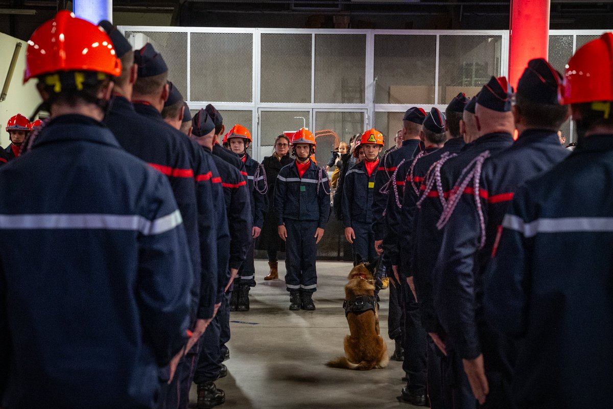 Sdis_95's tweet photo. [MEDAILLES 🎖] Lors de la cérémonie de la Sainte Barbe, 42 sapeurs-pompiers du Val-d'Oise ont été décoré... Et parmi eux, un des chiens de notre spécialité cynotechnique, Nérone ! 🐕

Lors du Séisme qui a frappé le sud-ouest de la Turquie, Nérone a accompli la recherche et la localisation de victimes sous les décombres sur de nombreux chantiers. Avec pugnacité, il a évolué en milieu particulièrement instable en mettant en péril son intégrité physique. Il a reçu hier soir la médaille d’Acte de Courage et de Dévouement, échelon Bronze.

Une fierté pour son maître, l’adjudant Cédric Jaouen, mais aussi pour toute la spécialité et le département. ❤️

L’adjudant Jaouen a lui reçu la médaille de la Sécurité Intérieure, échelon Argent, agrafe « Séisme Turquie ».

Félicitations à ce duo de choc ! 🥰

📸 F. Saavedra - V. Nicaise-Beauvieux