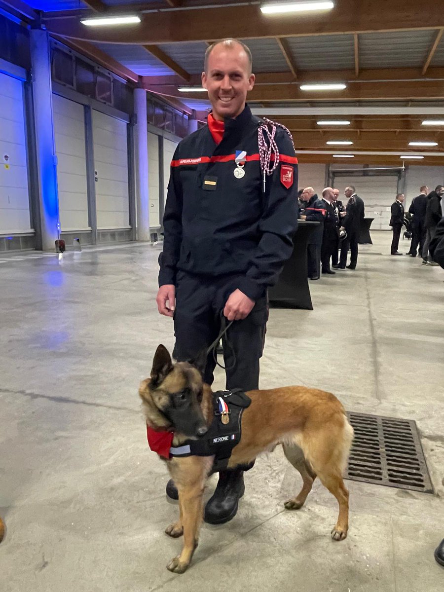 Sdis_95's tweet photo. [MEDAILLES 🎖] Lors de la cérémonie de la Sainte Barbe, 42 sapeurs-pompiers du Val-d'Oise ont été décoré... Et parmi eux, un des chiens de notre spécialité cynotechnique, Nérone ! 🐕

Lors du Séisme qui a frappé le sud-ouest de la Turquie, Nérone a accompli la recherche et la localisation de victimes sous les décombres sur de nombreux chantiers. Avec pugnacité, il a évolué en milieu particulièrement instable en mettant en péril son intégrité physique. Il a reçu hier soir la médaille d’Acte de Courage et de Dévouement, échelon Bronze.

Une fierté pour son maître, l’adjudant Cédric Jaouen, mais aussi pour toute la spécialité et le département. ❤️

L’adjudant Jaouen a lui reçu la médaille de la Sécurité Intérieure, échelon Argent, agrafe « Séisme Turquie ».

Félicitations à ce duo de choc ! 🥰

📸 F. Saavedra - V. Nicaise-Beauvieux