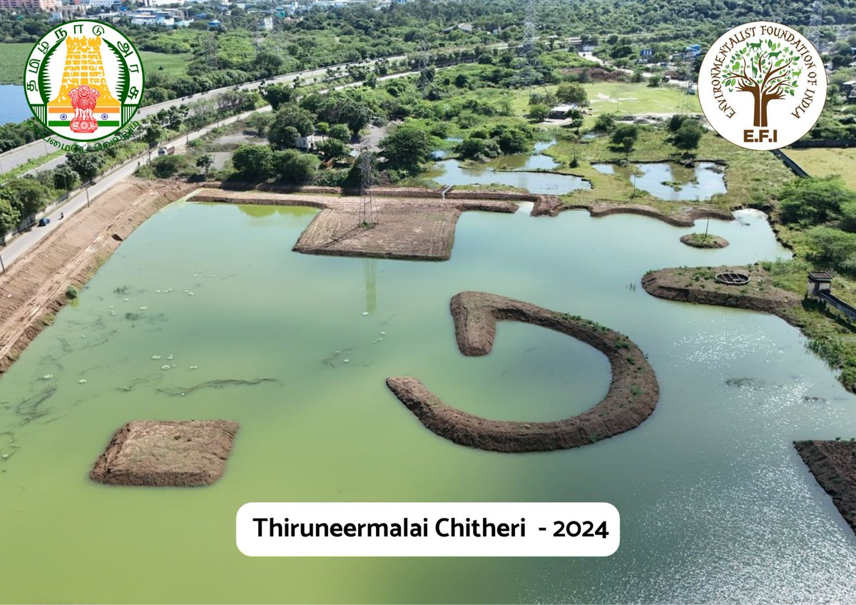 ArunEFI's tweet photo. #TiruneermalaiChitteri #Chennai. A restored lake with persistent challenges. Non-stop efforts on.
#JoinTheGangToCleanTheTank @EFIVolunteer https://t.co/dGFbhtlMWE