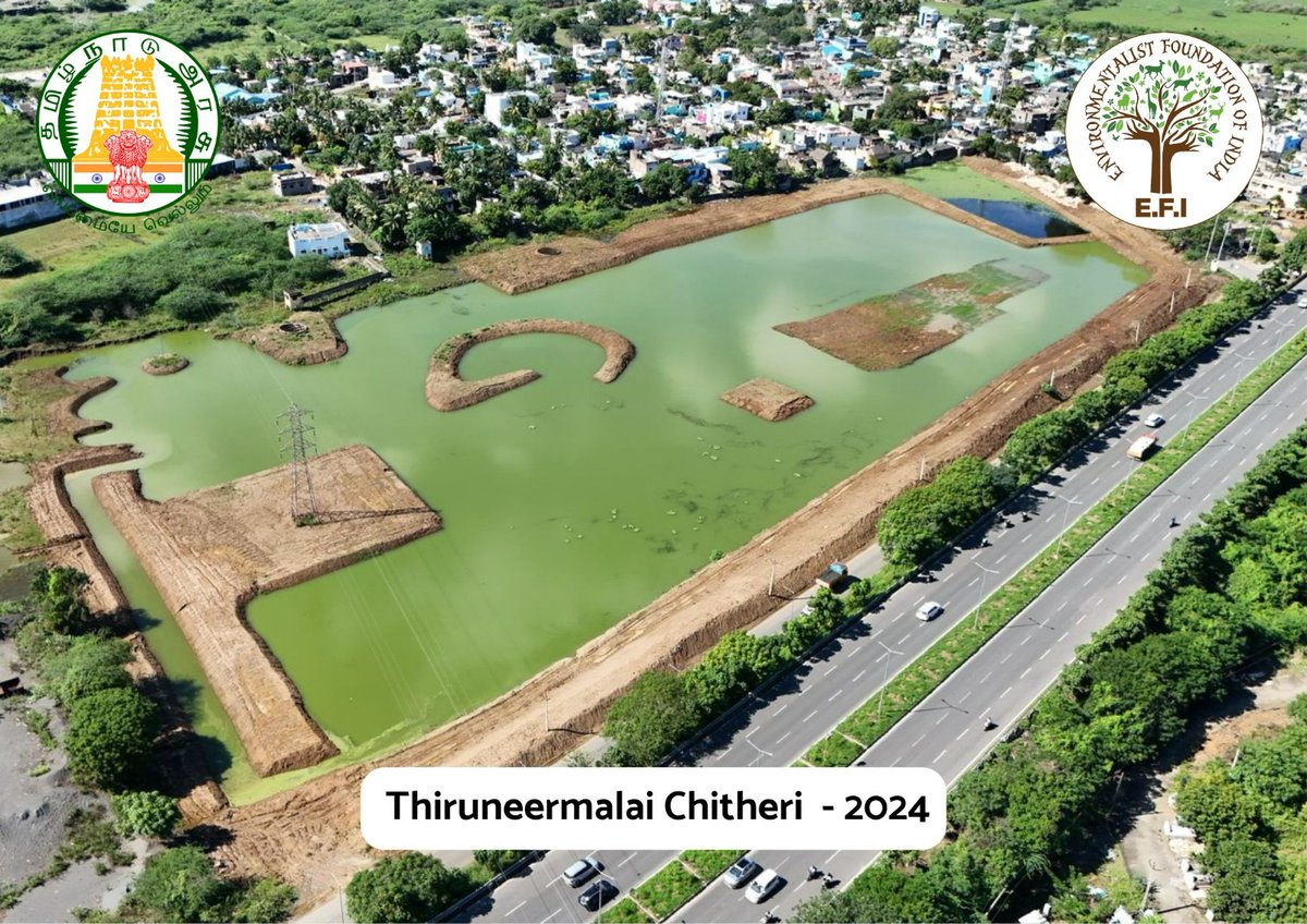 ArunEFI's tweet photo. #TiruneermalaiChitteri #Chennai. A restored lake with persistent challenges. Non-stop efforts on.
#JoinTheGangToCleanTheTank @EFIVolunteer https://t.co/dGFbhtlMWE