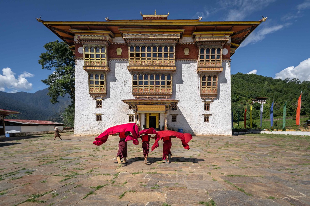 Roberto Pazzi tweet media