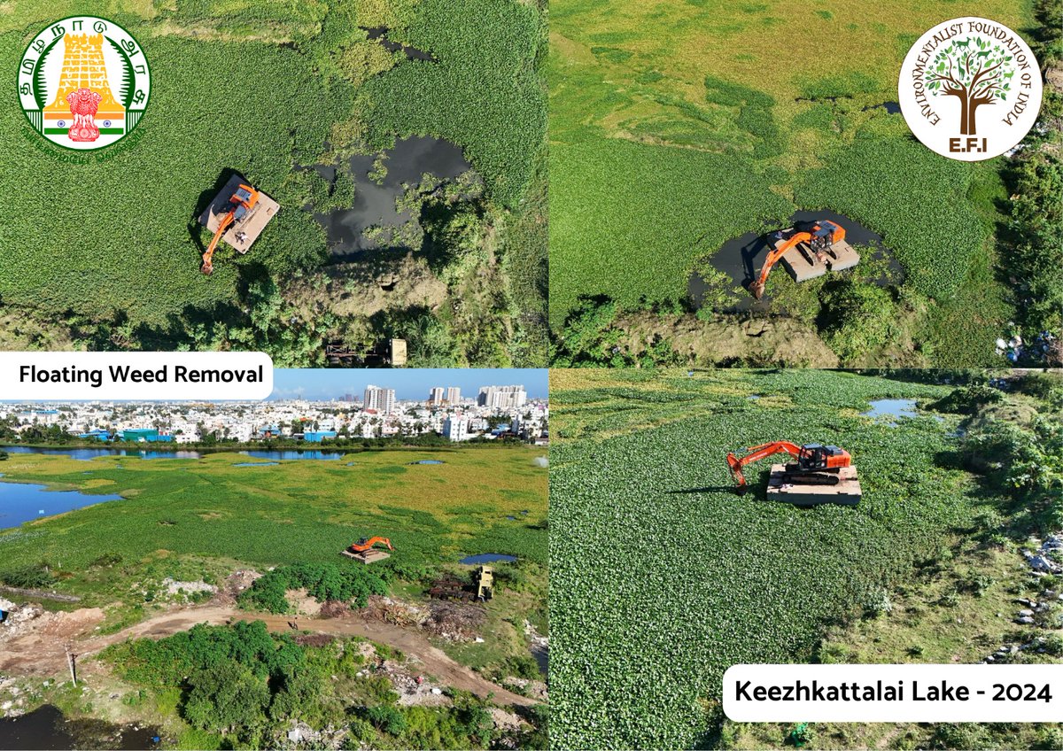 ArunEFI's tweet photo. #KeezhkattalaiLake #Chennai. A restored lake with persistent challenges. Non-stop efforts on. #CycloneFenjal damages being cleared through a floating buoy.
#JoinTheGangToCleanTheTank
@EFIVolunteer https://t.co/UU6hbQ0qtt