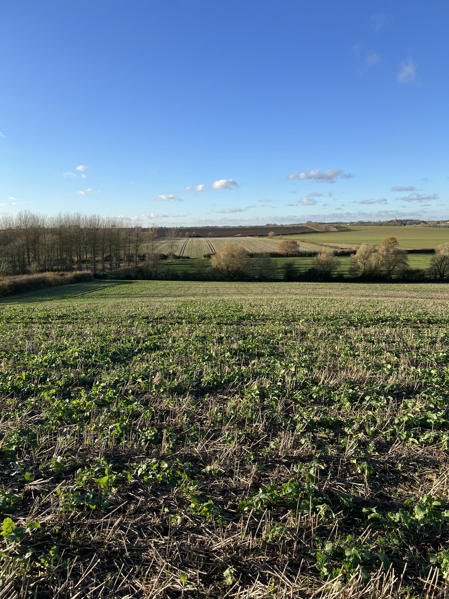 One Carbon World tweet media