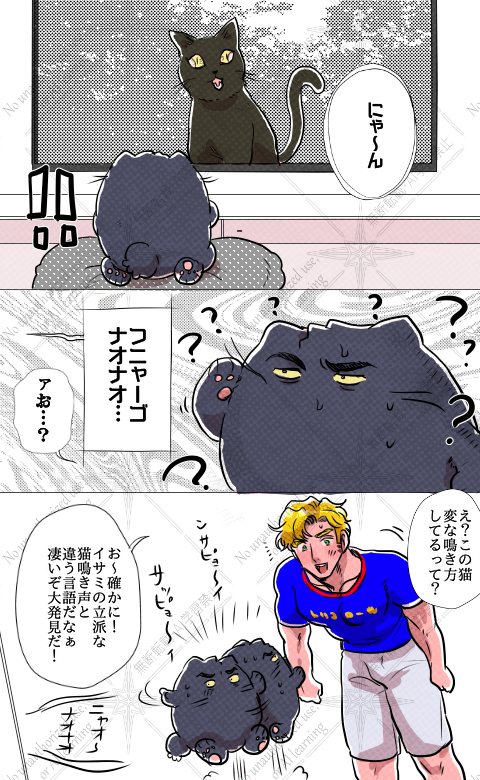 スミイサ🐱

自分基準(鳴き方 