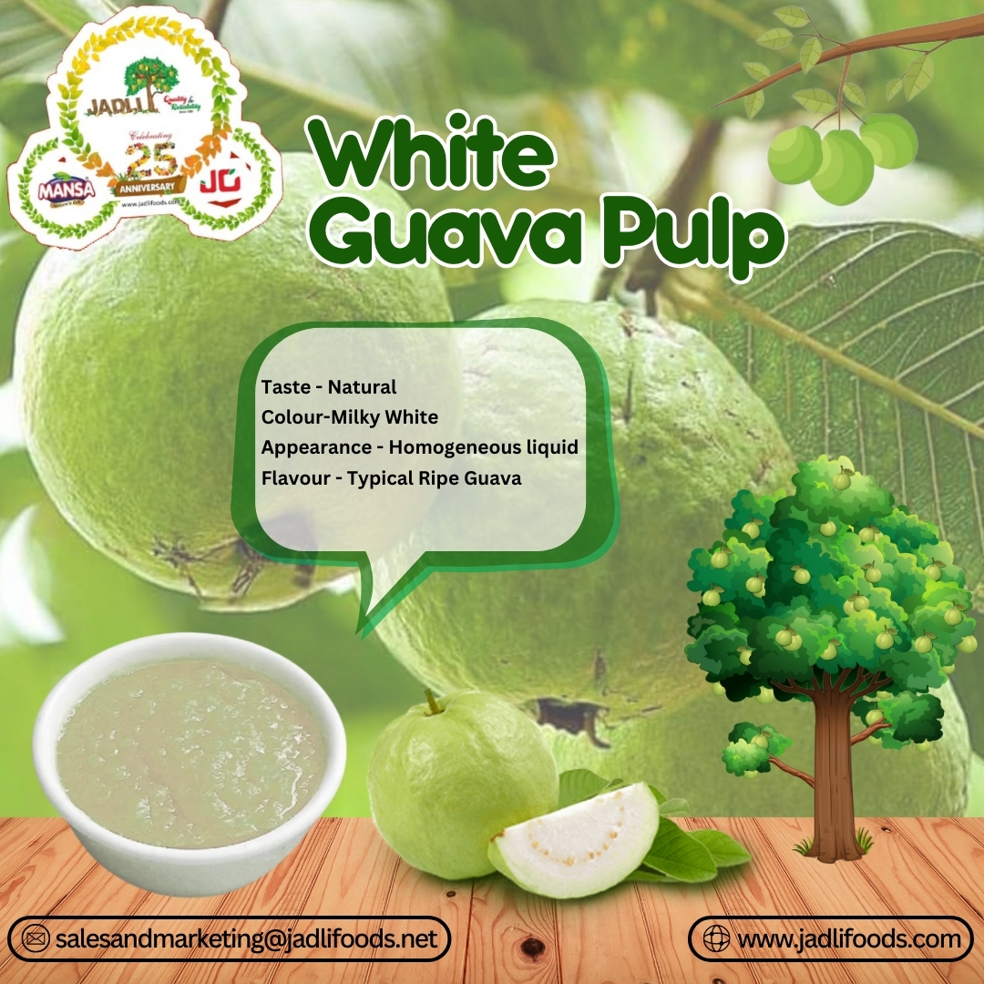 FoodsJadli's tweet photo. Experience the true essence of ripe guavas with our White Guava Pulp, crafted to deliver a natural, milky white color and a smooth, homogeneous texture. 
.
.
#GuavaPulp #GuavaConcentrate #JuiceProducers #FreshGuava #2024Crop #TropicalFlavors #GuavaDrinks #DeliciouslyGuava https://t.co/N7YbRV7JsK