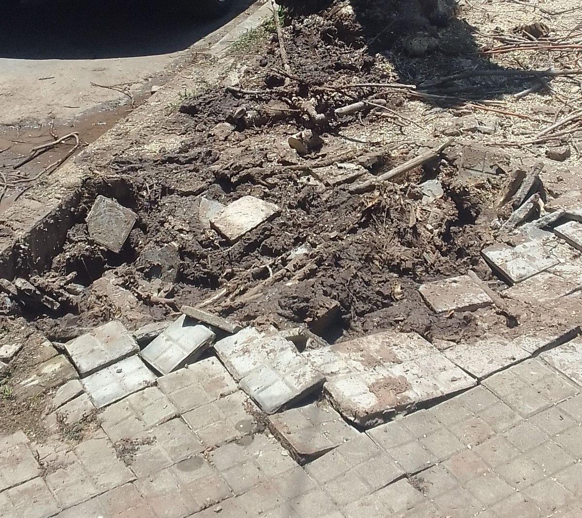 Florrr111Jf's tweet photo. @pablojavkin Pasa por Lima 1400 que de tantas veces que vinieron a cortar un arbol seco (antes de las elecciones) rompieron vereda y ahora se hizo un estanque de agua podrida por que parece que rompieron algo abajo, ya hicimos reclamos, pero nada https://t.co/PJRBIahoNT