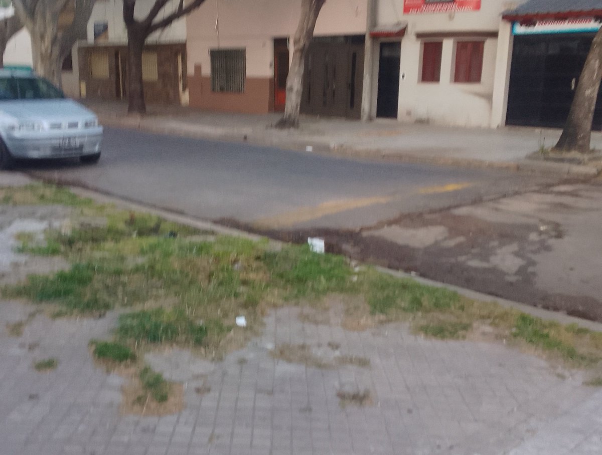 Florrr111Jf's tweet photo. @pablojavkin Pasa por Lima 1400 que de tantas veces que vinieron a cortar un arbol seco (antes de las elecciones) rompieron vereda y ahora se hizo un estanque de agua podrida por que parece que rompieron algo abajo, ya hicimos reclamos, pero nada https://t.co/PJRBIahoNT