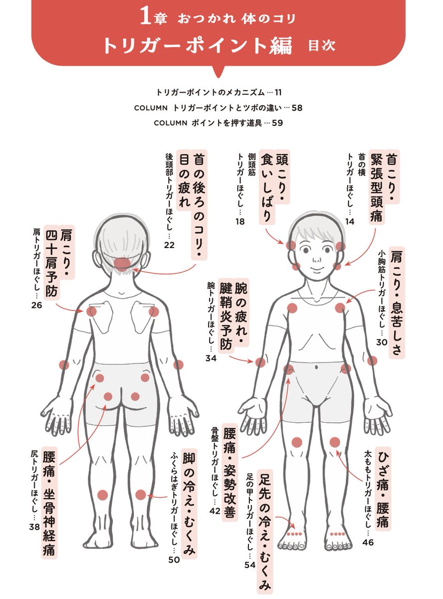 『ピンポイントで整う!じんわり押し活』
👀もくじはコチラです!

5人の専門家に取材した
<人体のポイント>をケアする40のワザを収録

「トリガーポイント」「ツボ」「リガメント」って何? のしくみも漫画で解説してます✊✨

#じんわり押し活 