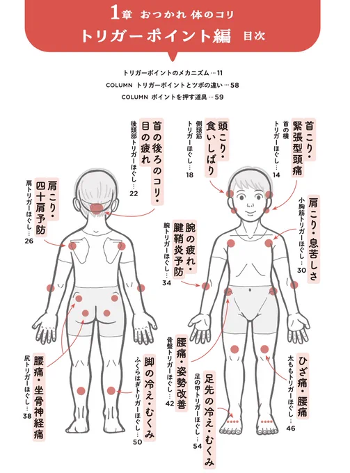 『ピンポイントで整う!じんわり押し活』
👀もくじはコチラです!

5人の専門家に取材した
<人体のポイント>をケアする40のワザを収録

「トリガーポイント」「ツボ」「リガメント」って何? のしくみも漫画で解説してます✊✨

#じんわり押し活 