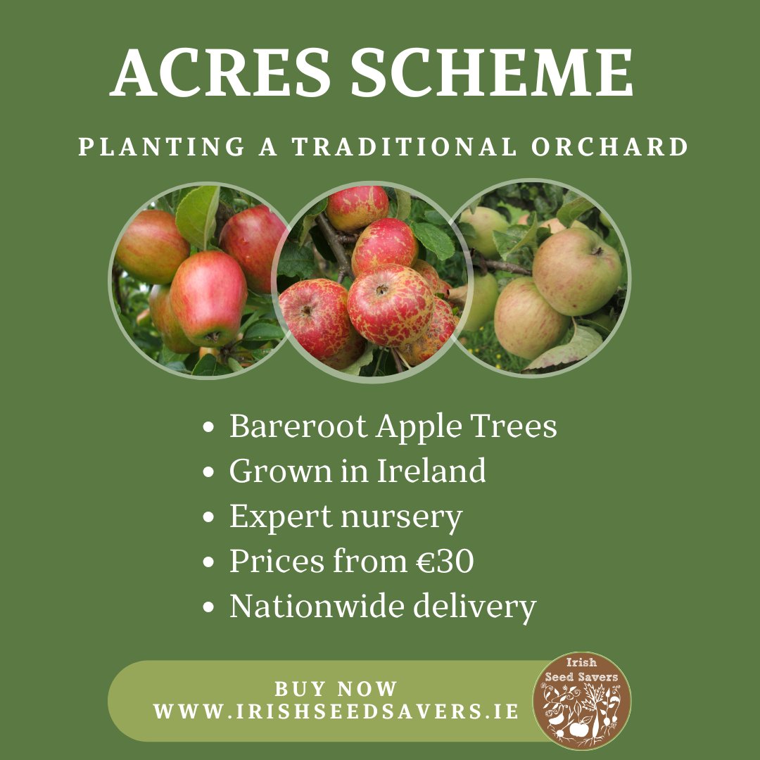 🍏 Bareroot Irish Heritage Apple Trees are here! 🍏

🌳 ACRES registered, 100% Irish grown, &amp; sourced from the National Irish Heritage Collection.

📦 From €30, nationwide delivery!

Order now 👉 tinyurl.com/mtk32xc2