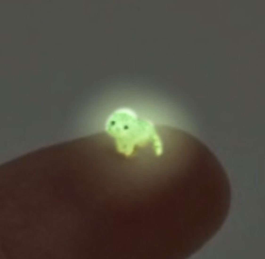 Bunnies (@rabbiteveryhour) on Twitter photo 