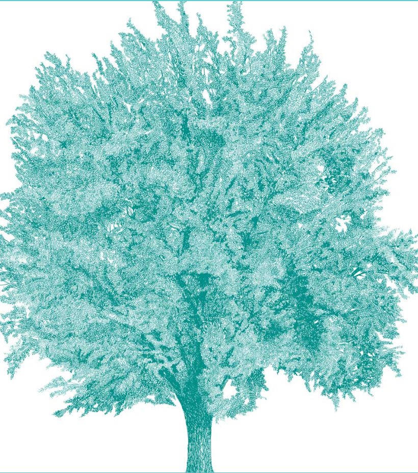 🌳AlberiFestival è il primo festival di architettura dedicato agli alberi promosso dalla <a href="/cittadimodena/">Comune di Modena</a>.
 
Dai il tuo contributo attraverso le call promosse per immaginare un nuovo modello di città contemporanea>comune.modena.it/argomenti/cult…

#creativecities <a href="/UNESCO/">UNESCO 🏛️ #Education #Sciences #Culture 🇺🇳</a>  <a href="/MiC_Italia/">Ministero della Cultura</a>