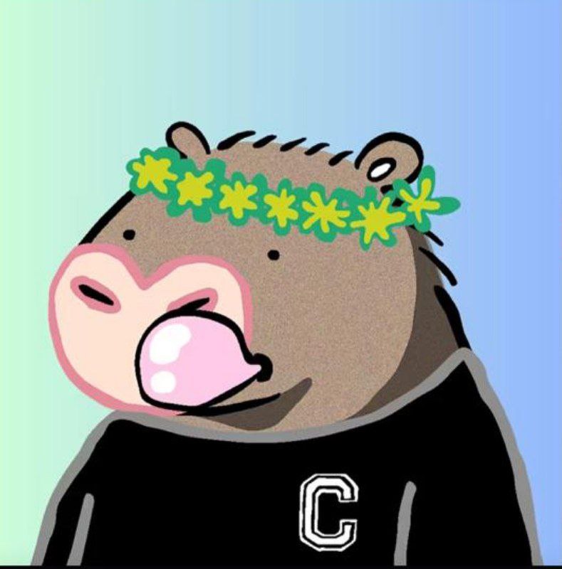 LessLivelimit's tweet photo. @CapyFriends @opencampus_xyz 0xbc166509983a4c7cE68D857DE3510F61BC18552f

Capy to moon https://t.co/8M4hM0p1eG