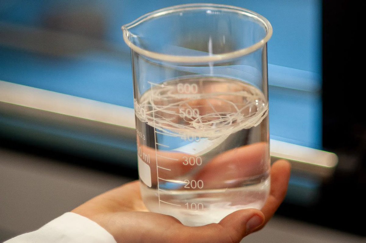 BETA_TechCentre's tweet photo. 🌿 We are collaborating with Elisava on #BIOCEL 2.0 to create 🌱 biodegradable textile filaments 🧵from organic matter. 🦠
Read full article here 👉 https://t.co/yYLJjwTtE3
#Sustainability #Innovation https://t.co/lW1MTGZdDu