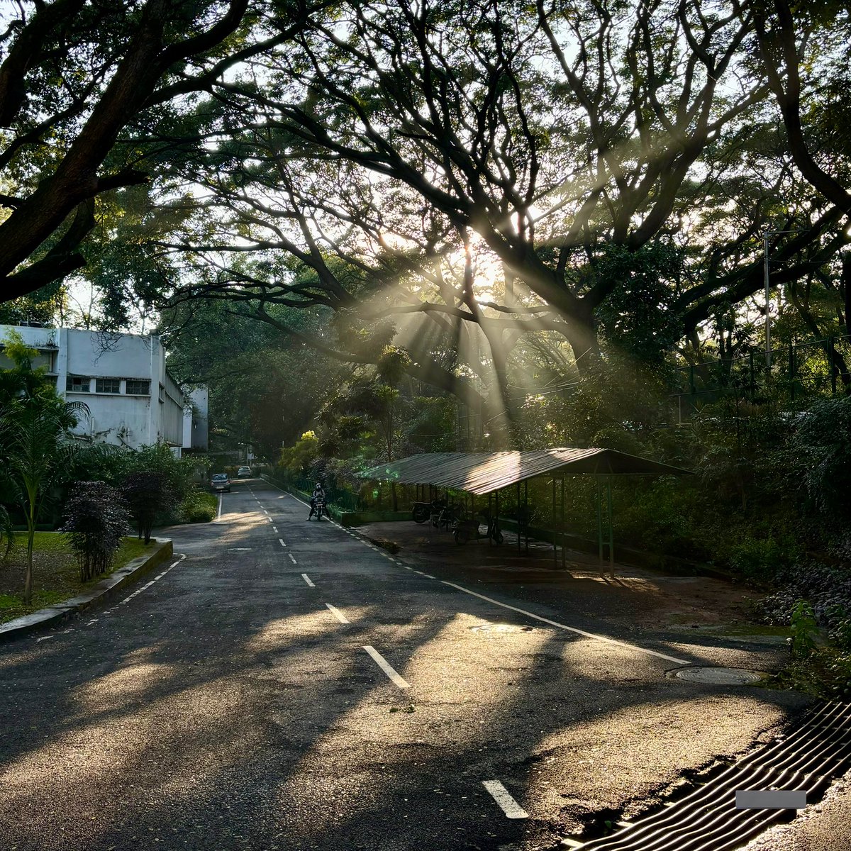 Pushkar V tweet media