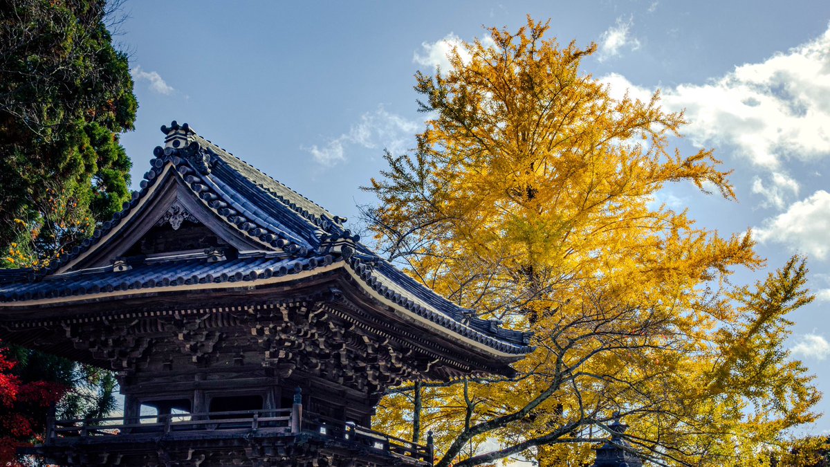 torimoaezu's tweet photo. #紅葉
#西教寺
滋賀県 https://t.co/Pe9C7kSCov