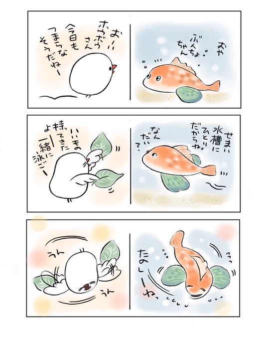 ホウボウさんとぶんちょ 
