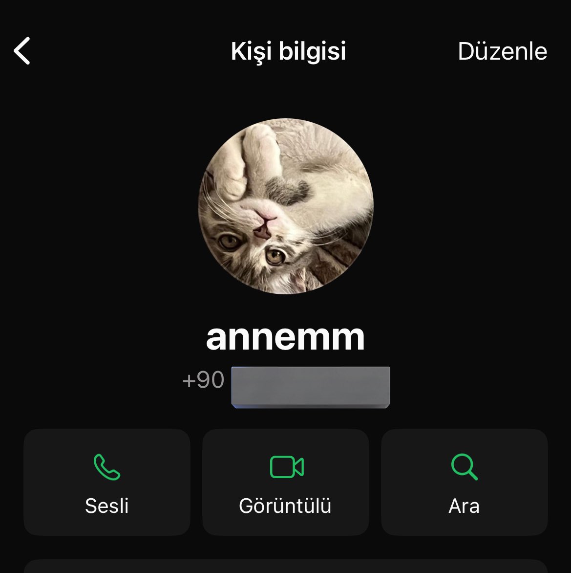annemin eve gelen kediyi önce evden göndermeye calısırken simdi en sevdigi cocugu olması hakkında..