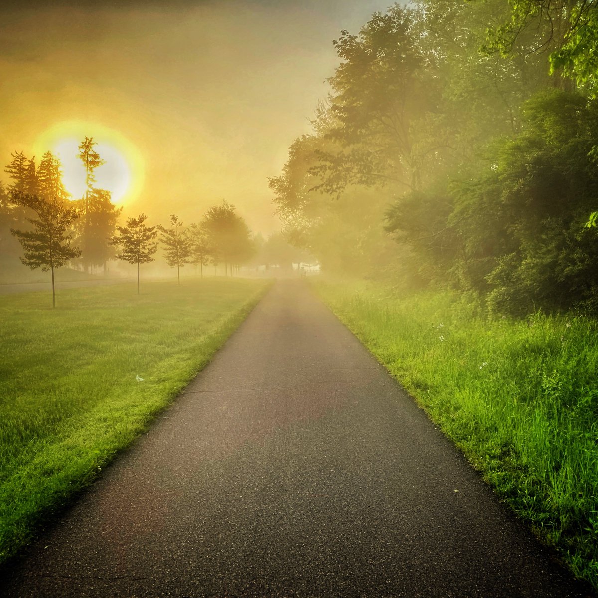 SamMillerSells's tweet photo. Taken on a foggy morning during a bike ride in Gambier, Ohio on the Kokosing Gap Trail.  #ride #bike #cyclist #biketrail #bikepath #exercise #fitness #trek #gambierohio #biking #outdoors #bikelane #fog #sunrisebikeride https://t.co/ITPyifkKIn