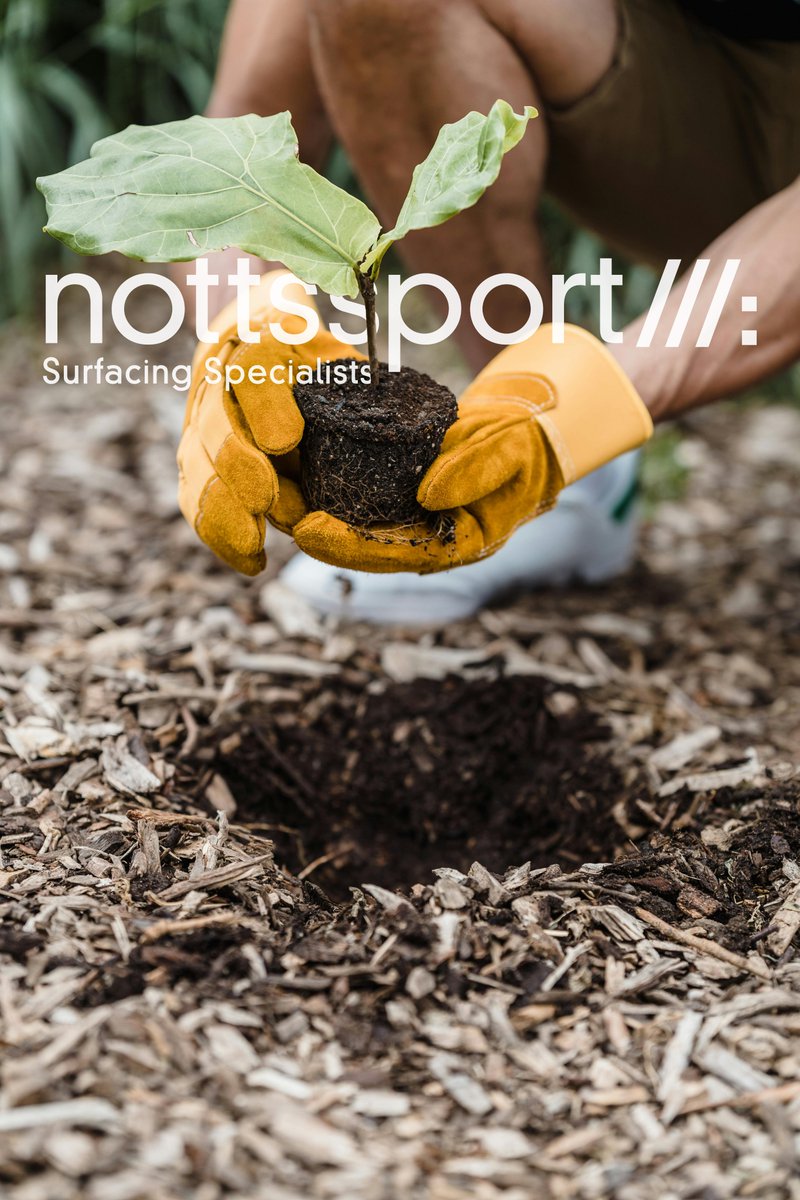 We are proud to be working with <a href="/treenation/">Tree-Nation</a> , a global platform dedicated to reforestation. Through this association, we will be planting trees to help reduce our carbon footprint.

As part of this commitment, we have pledged to plant one tree per 100 sqm of carpet provided in