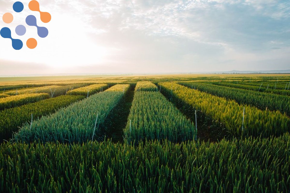 EurofinsAgro's tweet photo. #dyk we have a number of irrigated fungicide cereal platforms in Europe?
To secure your trials and obtain clear differences whatever the climatic conditions, get in touch!
#cereals #fungicides #fieldstudies https://t.co/Oc210He3CV