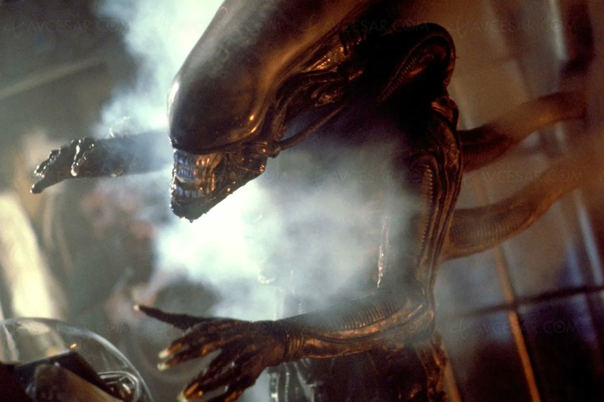 ParisCinemaClub's tweet photo. [Monsters Mania] 🧟
Découvrez notre nouveau cycle consacré aux monstres avec pas moins de vingt-quatre films aux Écoles ! De NOSFERATU à THE HOST, en passant par L'EXORCISTE, ERASERHEAD, ALIEN ou encore GREMLINS on explore toutes les facettes du genre.

👉 https://t.co/i7SxSHAJiW https://t.co/LCU8gBSBEA